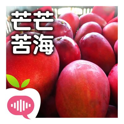 【靠北Delta】枋寮果農：人心有毒，芒果何罪？