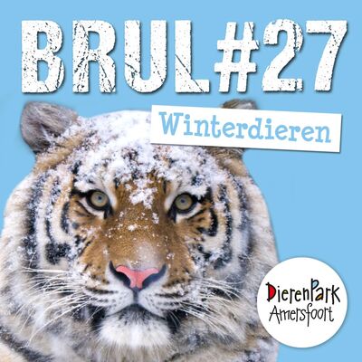 Bibberen? Echt niet! Het geheim van de pooldieren | BRUL #27