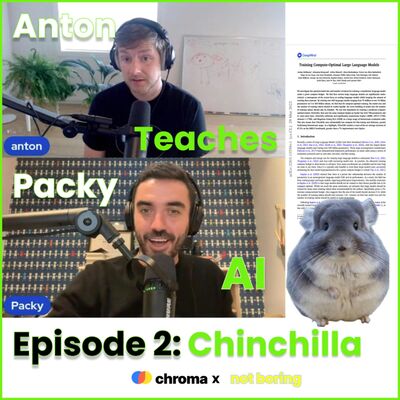 Anton Teaches Packy AI | Ep 2 | Chinchilla