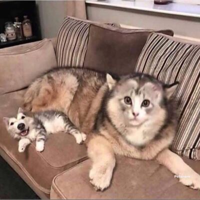 EP29 好萊塢電影大片接下來要等到2023年拉! 新電影消息報你知 / 欸欸遊戲公司也來做podcast 故事劇情拿來播真的滿好聽阿