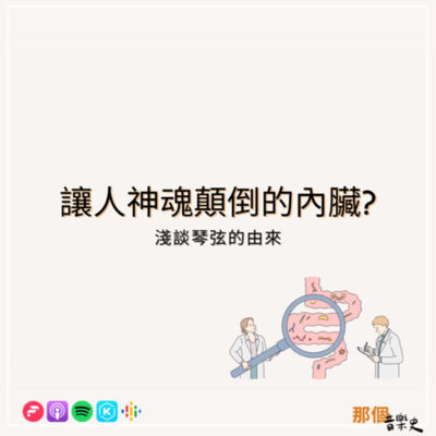 【讓人神魂顛倒的內臟?】淺談琴弦的由來