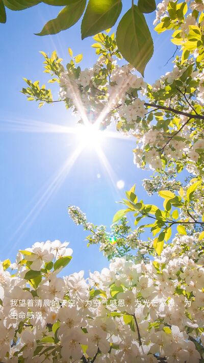 在「改變命運」之前，知識應當先成為一種強大的力量