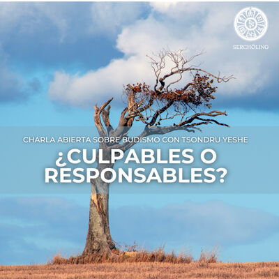 ¿Culpables o responsables?
