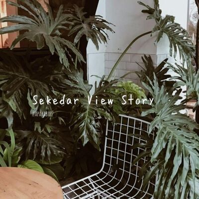 Sekedar View Story #ApaKabar?