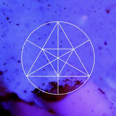 Mysteries of the Deep CXLIX – SUNA