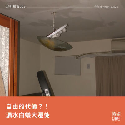 分析報告003 ∥自由的代價？！漏水白蟻大遷徙