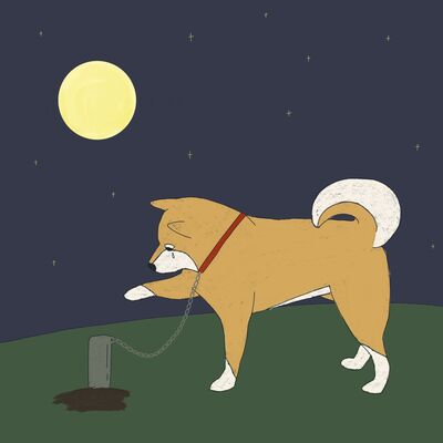 快樂的「表面」｜ 《春日之犬》｜你常常在夜裡偷偷哭泣嗎？ 