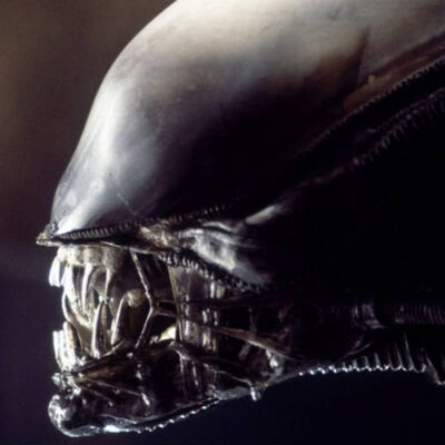 Alien (1979) Pt.3: Alienígenas