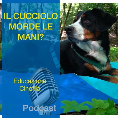 La Copertina Refrigerante