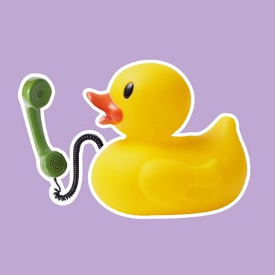 S03 - House Call #5 Duck by our House with Anthony Carthew