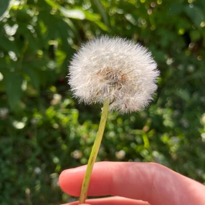 ASMR roleplay ~ painting your face in 3 minutes 🍓