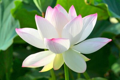 满腔和气 随地春风