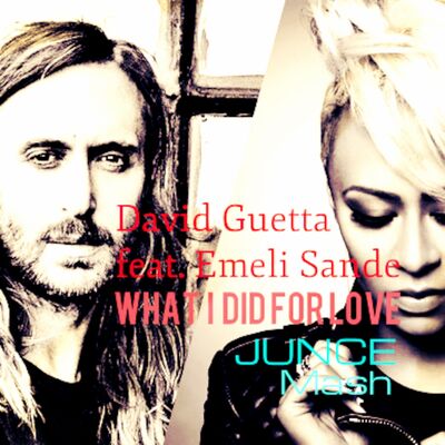 David Guetta Feat. Emeli Sande - What I Did For Love (JUNCE Mash)