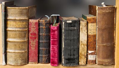 Punta Norte: De un biblioteca oculta durante mil años