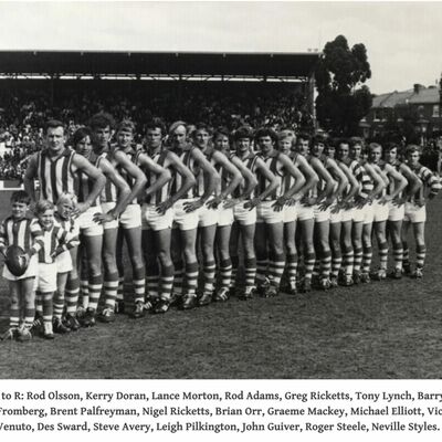 Q3+Q4 of *lost* 1971 TFL Grand Final - Sandy Bay v Clarence