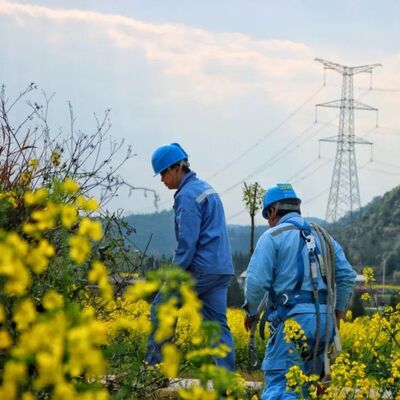 Vol 20 . 电力改革：云南实现碳中和的长期挑战