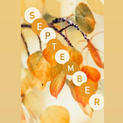 Geleide meditatie september 2020