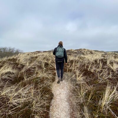 DutchbuzZ Story - Inspiring beach walk to chase away the blues and extra kilos!