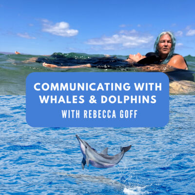 #173: Communicating with dolphins and whales with Rebecca Goff