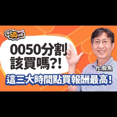 0050分割買一張變四張，能買嗎？! 股魚爆：國安基金進場、十年線、景氣燈號，這三種買法績效最好的是這一個！小資族怎麼選巿值ETF?！【股魚嗨什麼】EP133 ft.股魚《投資嗨什麼》