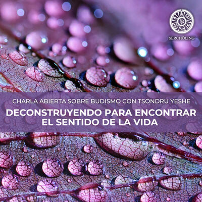 DECONSTRUYENDO PARA ENCONTRAR EL SENTIDO DE LA VIDA