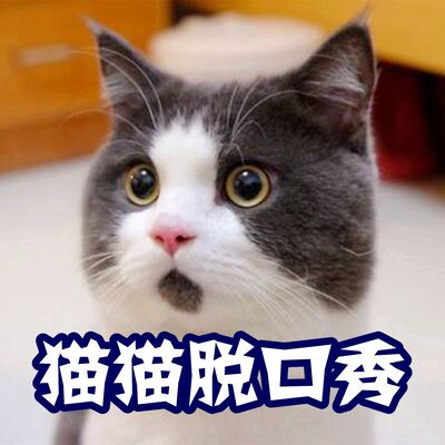 【猫猫脱口秀】如何判断自己是不是NPC？