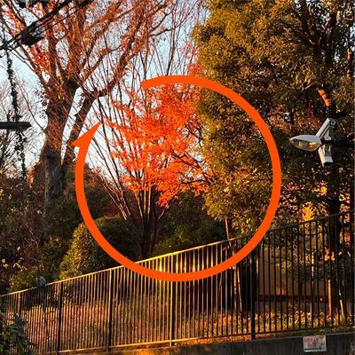 Vol.97 在破产书店迎新年：终于不再自己吓自己～