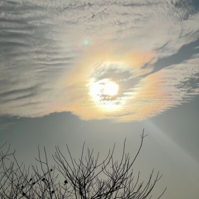 E210 修行中的自我检验