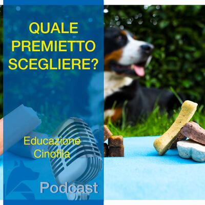 Quale Premietto Scegliere