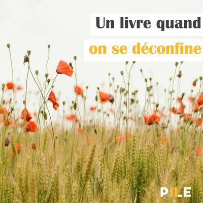EP 44 - Un livre quand on se déconfine