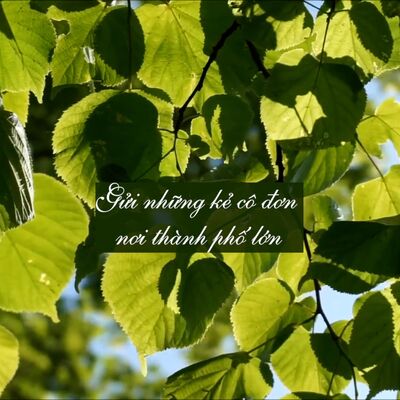 #89 Gửi những kẻ cô đơn nơi thành phố lớn