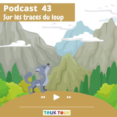 Sur les traces du loup