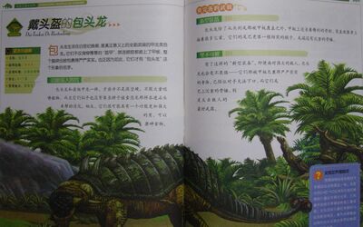 植食恐龙_28戴头盔的包头龙