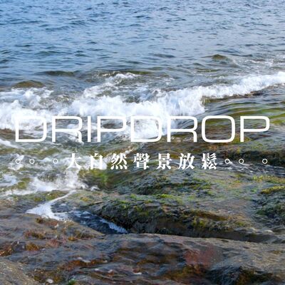 EP10 | 每次都想撈一把海藻回家做菜。