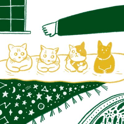 寵物陪伴｜飼主比毛小孩更需要溝通