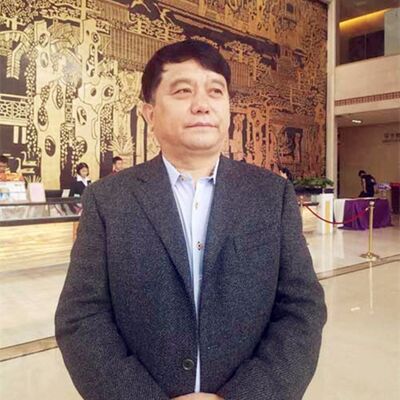 陈斌武：时代沉浮的英雄 从亿万富翁到负亿资产