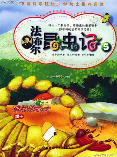 神秘的隐士：蝎子（下）