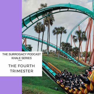 The Fourth Trimester with Katrina Hale
