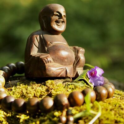 是諸眾生，若心取相，即為著我、人、眾生、壽者。若取法相，即著我人眾生壽者。