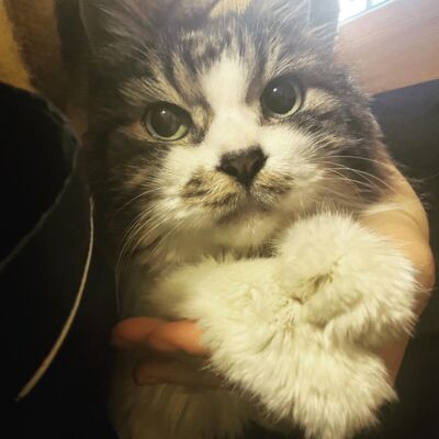 S2E1 共度20年：它是我的影子，我是它的影子，我和它互相成长陪伴