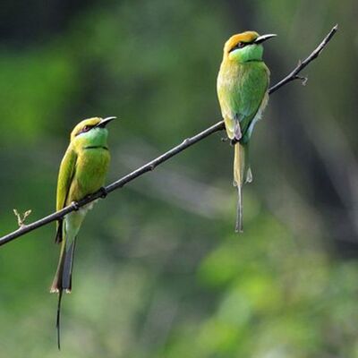 面对情绪的【无常】，你能做到平等心吗？