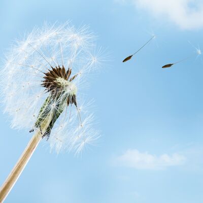 What Is Wind?