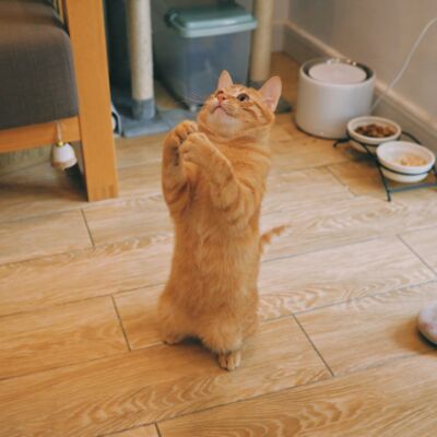 挣扎着录第016期-那些困扰我的！我要重新设定！