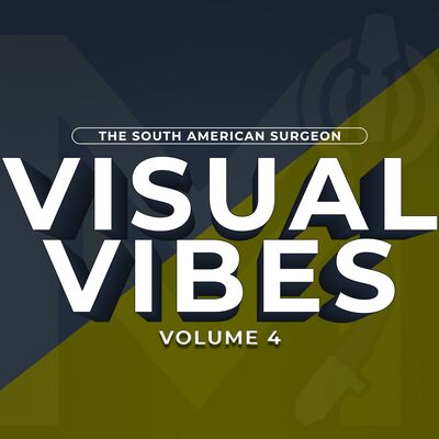 Visual Vibes Volume 4 (Dancehall)