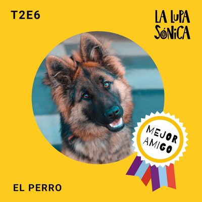 El perro - Una amistad de milenios