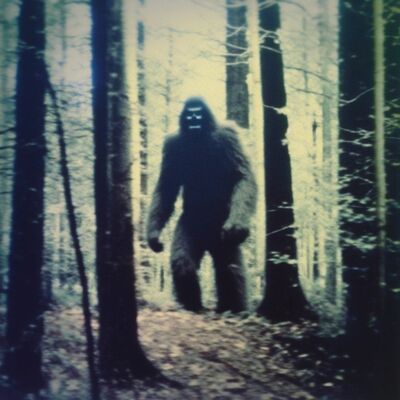 Sasquatch, High Strangeness & the Patterson–Gimlin Film w/ Robert Skvarla