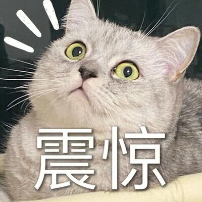 缓刑5年照领 41 万？这班算白上了
