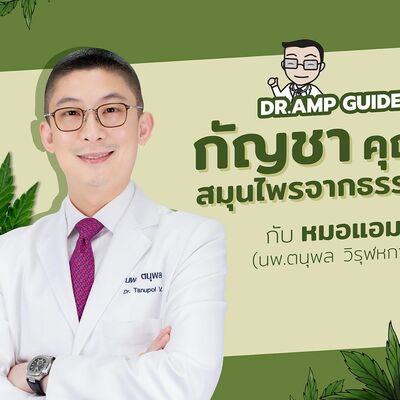 กัญชา คุณค่าสมุนไพรจากธรรมชาติ  by หมอแอมป์ [Dr. Amp Guide👨‍⚕️ & Dr.Amp Podcast]