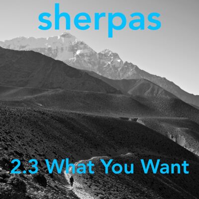 2.3 What You Want