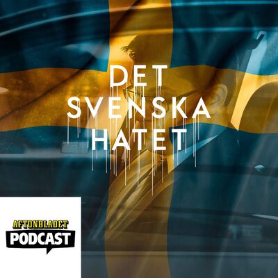 Del 26 SD startar dementimaskinen